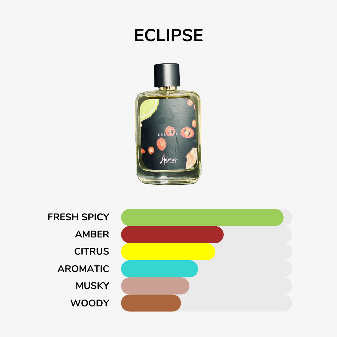 Eclipse (Sauvage Di*r)